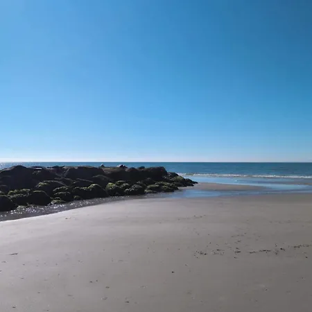 6 Person In 布拉万德